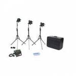 Dedolight K24B (K24-B) Basic 150W 12V Tungsten Kit includes 3 DLH4 Light Heads, DCHD Transport case & 3 DST Dedolight stands Dedolight K24B (K24-B) Basic 150W 12V Tungsten Kit includes 3 DLH4 Light Heads, DCHD Transport case & 3 DST Dedolight stands